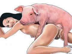 Young US girl fucks with a pig...